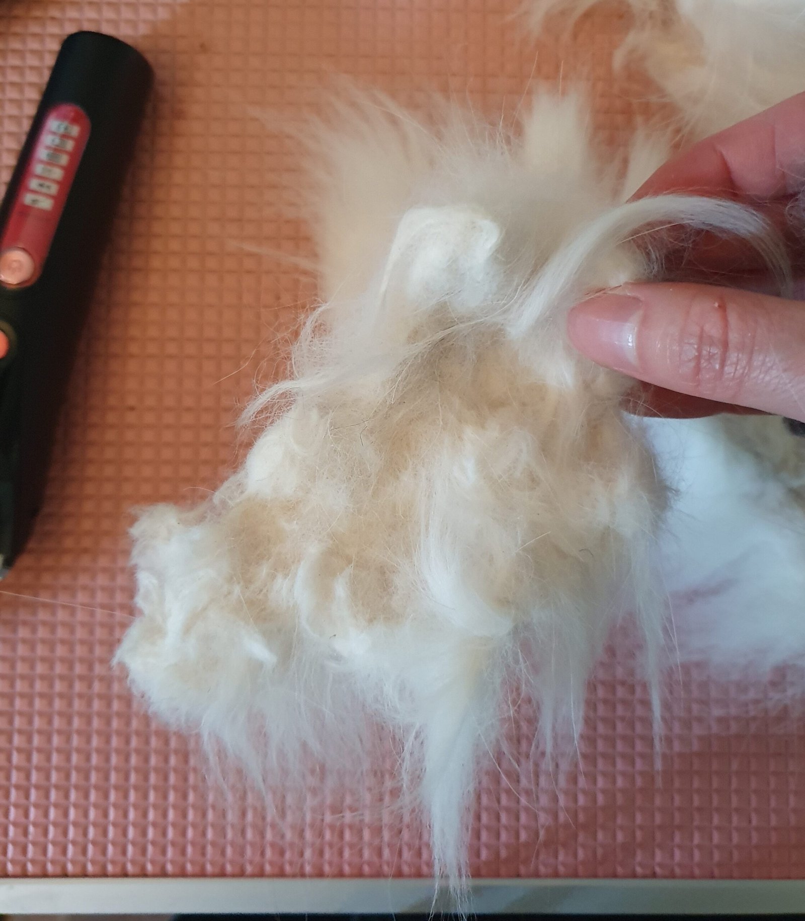 View of Mat removal only - San's Cat Grooming Services